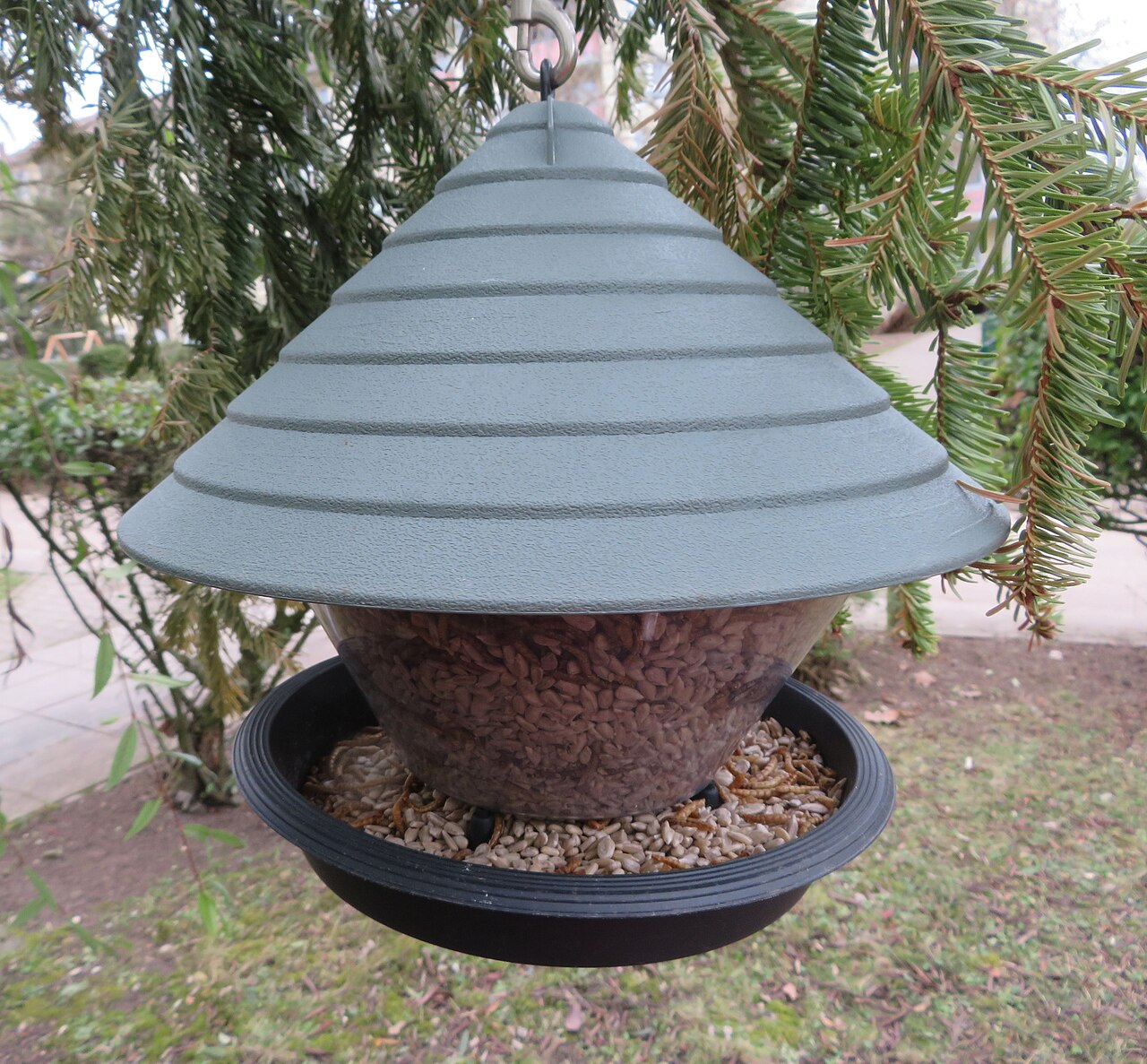 Frei hängendes Futterhaus mit Dach und Körnerfutter in einem Nadelbaum